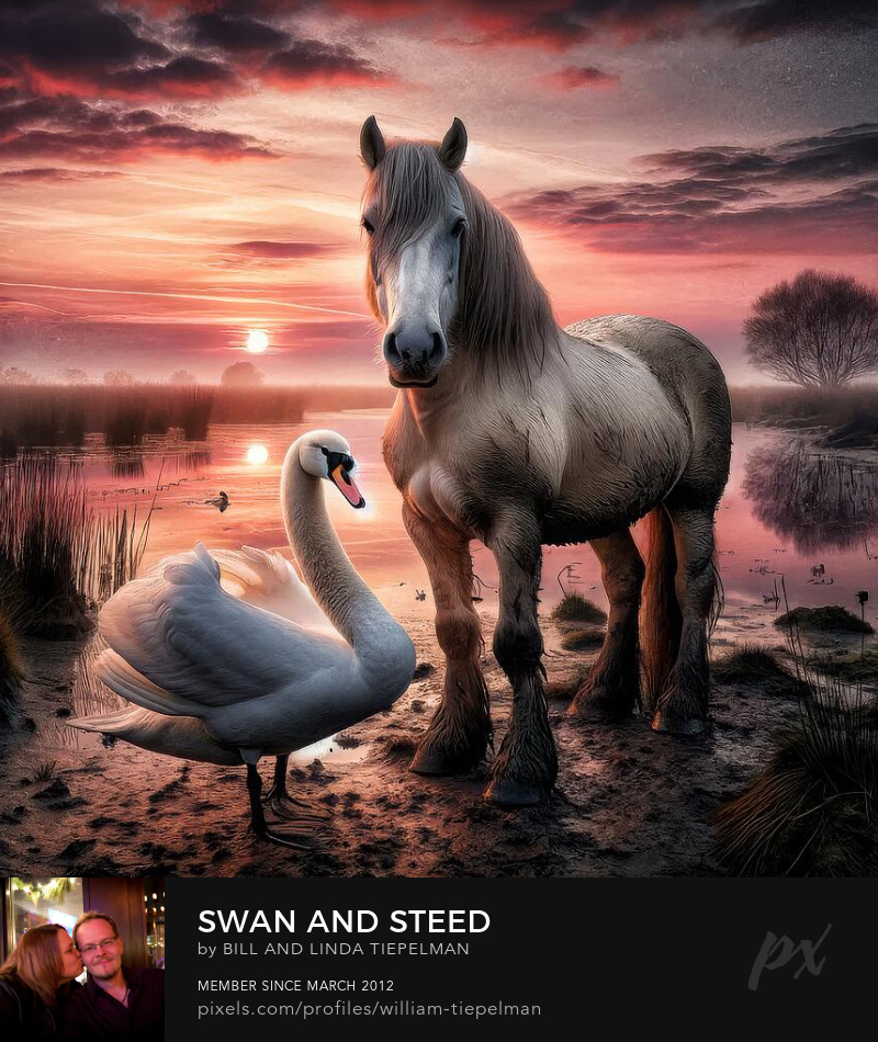 Swan and Steed Art Prints