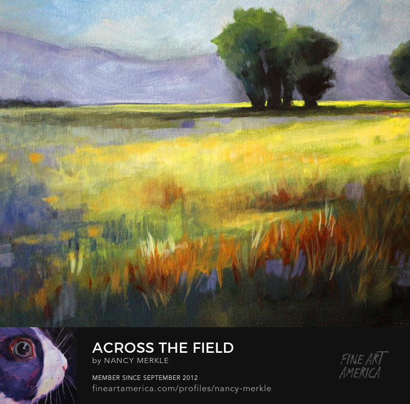 Summer Field Art Prints