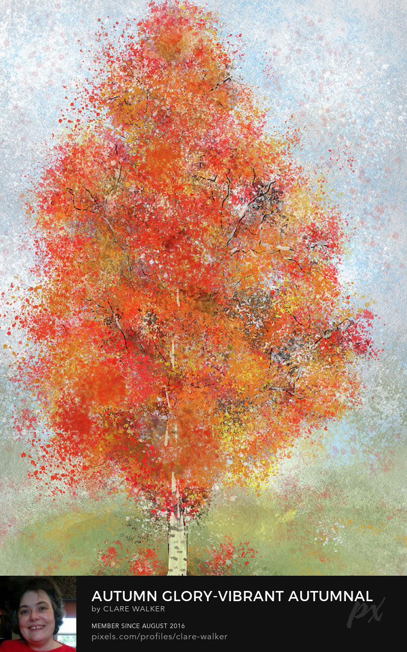 Image sowns a larger, more detailed version of Autumn Glory-as described in the image at the top of the page.