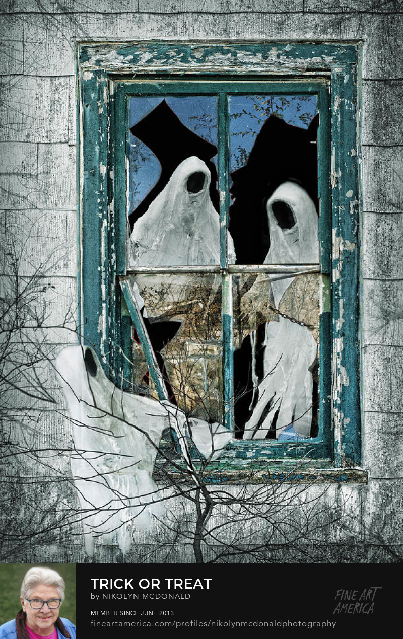 halloween ghost comes to window for candy by nikolyn mcdonald