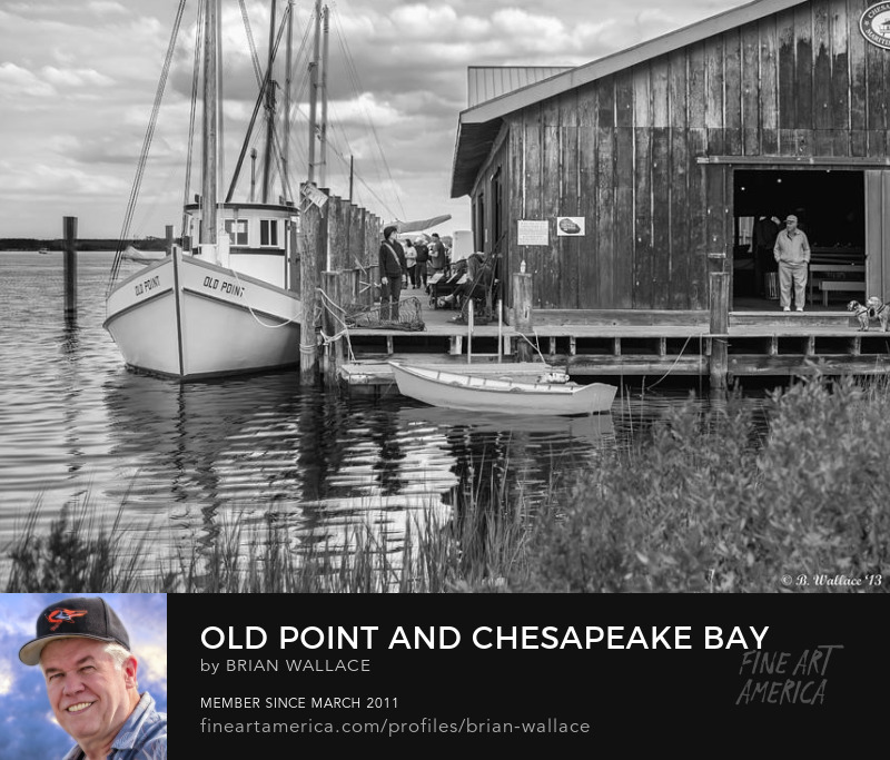 Old Point And Chesapeake Bay Maritime Museum by Brian Wallace