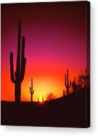 Desert Sunset Photograph by Frank Houck - Fine Art America