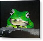 White Lipped Green Tree Frog Painting by Una Miller - Fine Art America