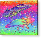 Rainbow Axolotls Acrylic Print