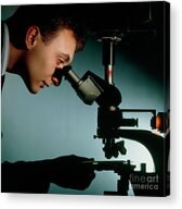 Technician Using A Binocular Light Microscope Acrylic Print