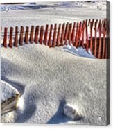 Fence Sculpture Acrylic Print