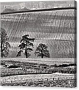 Fields And Trees Acrylic Print