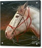 Original Animal Oil Painting Art-horse#16-2-5-21 Acrylic Print