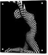 0210 Experimental Abstract Nude Art Acrylic Print