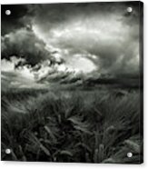 After The Storm #1 Acrylic Print