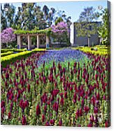 Alcazar Garden Vibrant Color Display Balboa Park  #1 Acrylic Print