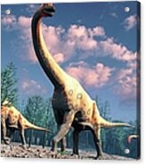 Artwork Of Brachiosaurus Acrylic Print
