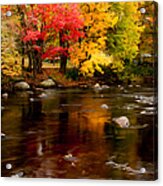 Autumn Colors Reflected Acrylic Print