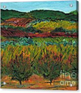 Autumn Colours Languedoc #1 Acrylic Print
