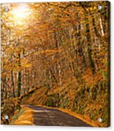 Autumn #2 Acrylic Print