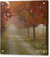Autumn Road #1 Acrylic Print