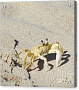 Beach Stroller #1 Acrylic Print