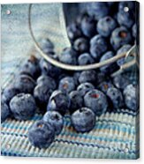 Blueberries #1 Acrylic Print