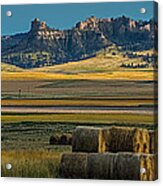 Bluff Country #2 Acrylic Print