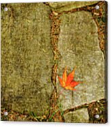Leaf On Stones Squared Acrylic Print
