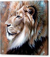 Copper King - Lion #1 Acrylic Print