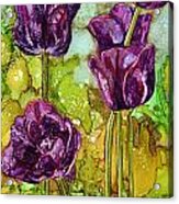 Dark Tulips Acrylic Print