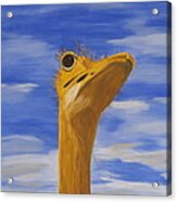 Eye To The Sky #1 Acrylic Print