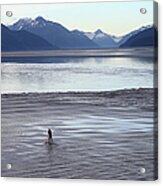 Feature - Bore Tide Surfing In Alaska #1 Acrylic Print