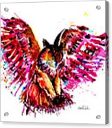 Flying Owl #1 Acrylic Print