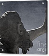 Fontana Dei Quattro Fiumi - River Plate #1 Acrylic Print