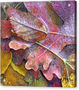 Frozen Autumn Leaves North America #1 Acrylic Print