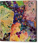 Grapes And Leaves #1 Acrylic Print
