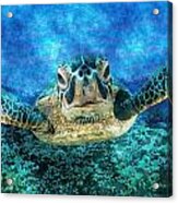 Green Turtle #5 Acrylic Print