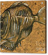 Hatchet Fish Acrylic Print