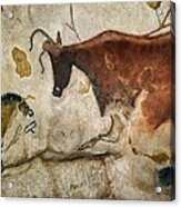 Lascaux Ii Cave Painting Replica #1 Acrylic Print