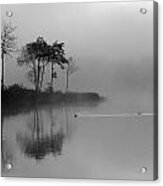 Loch Ard Trees In The Morning Mist Acrylic Print