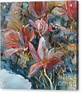Magnolias #1 Acrylic Print