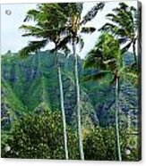 Oahu Mountains #1 Acrylic Print