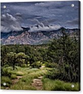 Odyssey Into Clouds Oil Acrylic Print