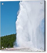 Old Faithful In Yellowstone National #1 Acrylic Print