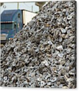 Oyster Shells After Processing #1 Acrylic Print