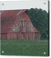Weathered Red Barn In Kentucky Acrylic Print