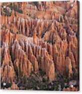 Sandstone Hoodoos In Bryce Canyon Acrylic Print