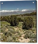 618p Schell Creek Range Nv Acrylic Print