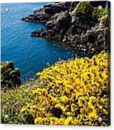 St Non's Bay West Wales #1 Acrylic Print