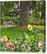 Stop And Smell The Roses #1 Acrylic Print