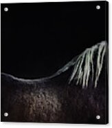 The Naked Horse #1 Acrylic Print