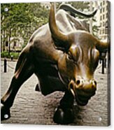 The Wall Street Bull Acrylic Print