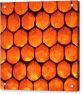 View Of Honeycomb Of The Honey Bee by Simon Fraser/science Photo Library