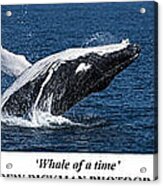 Whale Of A Time #1 Acrylic Print